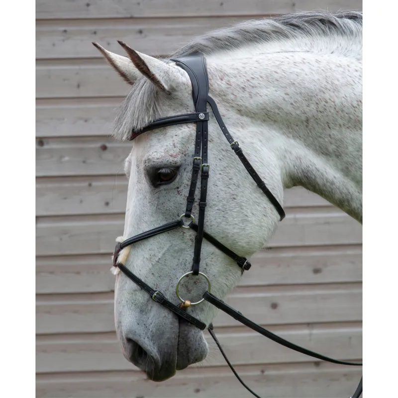 Henry James Mexican Grackle Bridle - Black-2